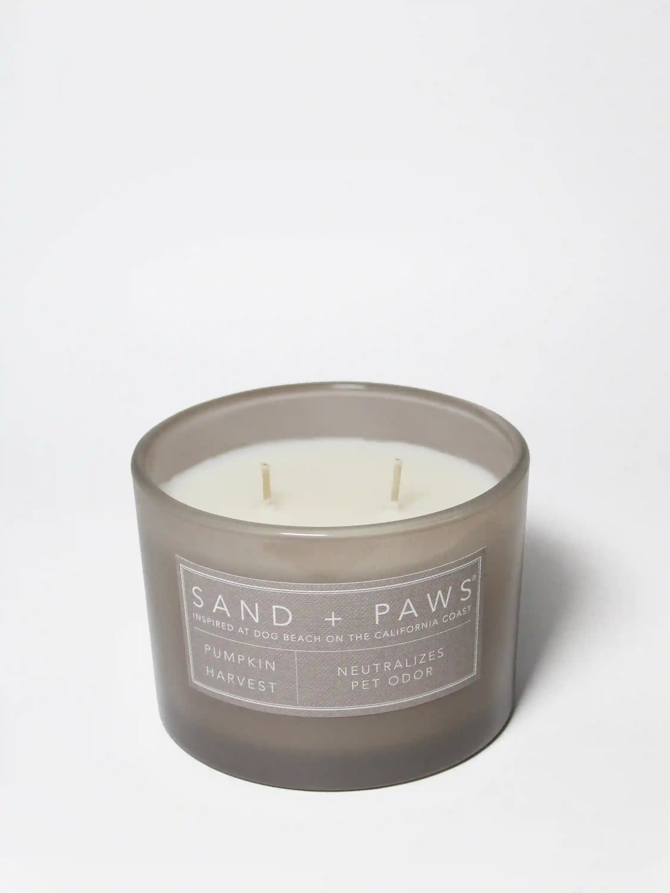Sand + Paws Pumpkin Harvest 12 oz scented candle