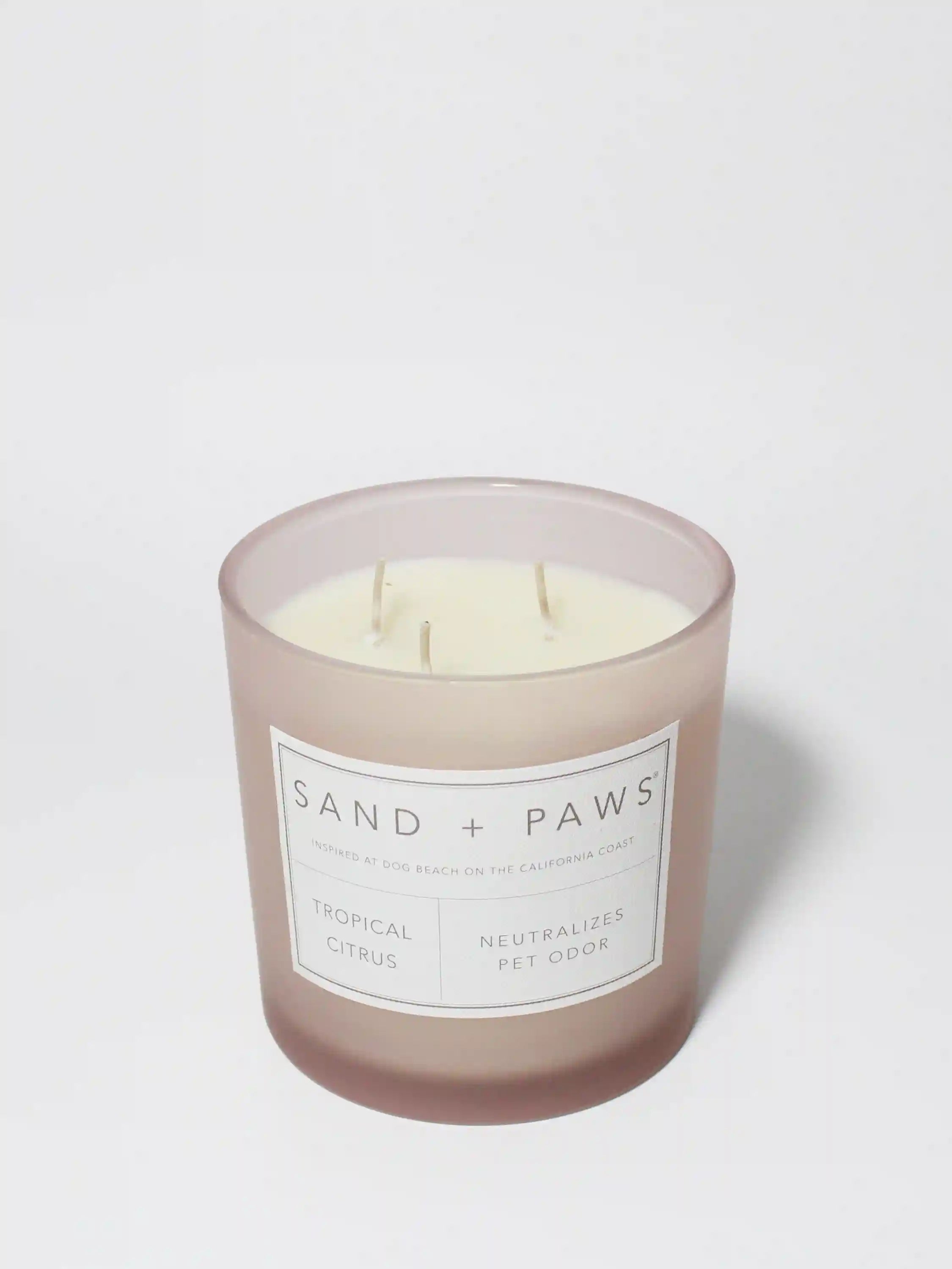 Sand + Paws Tropical Citrus 21 oz scented candle