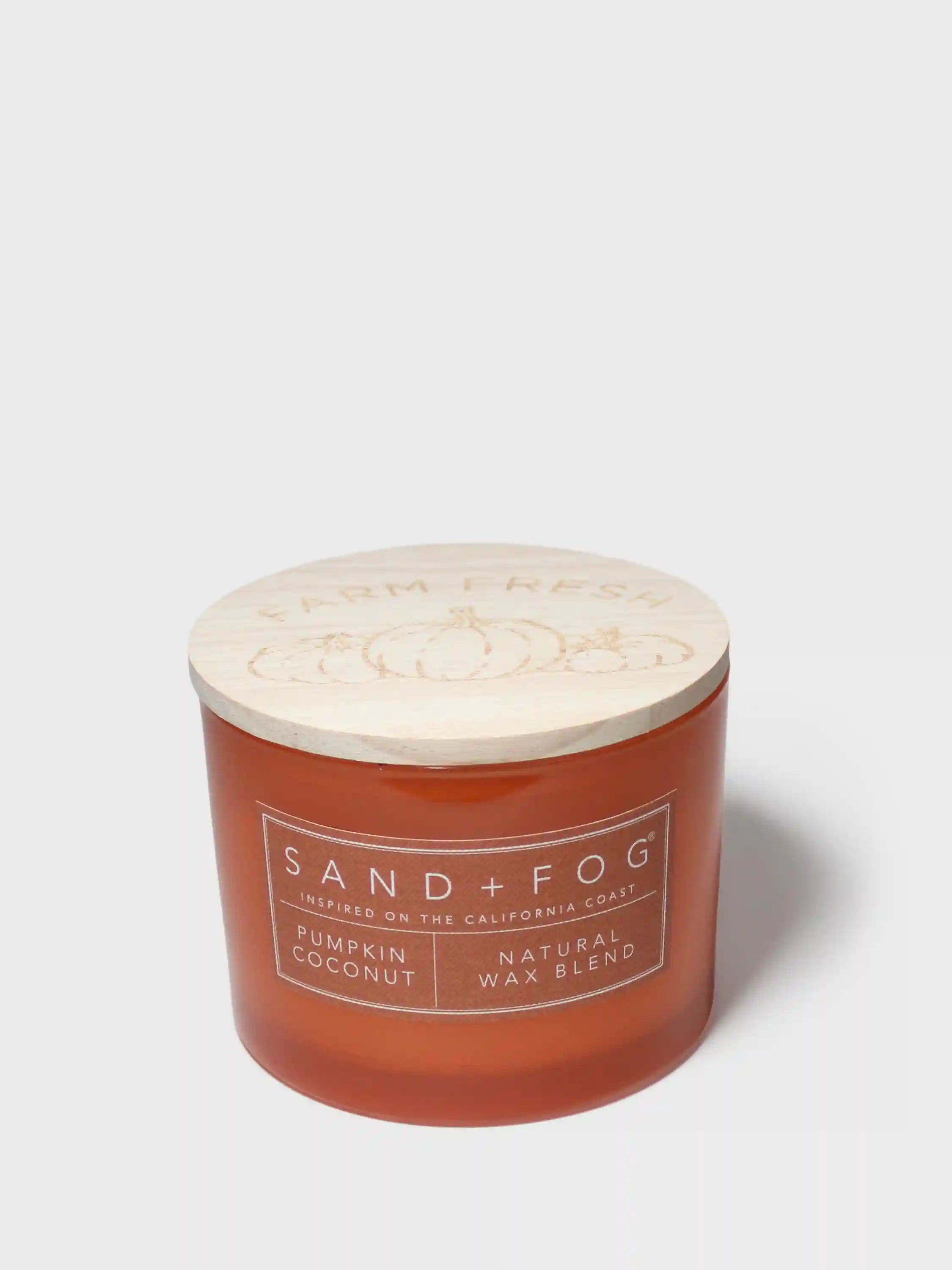 Pumpkin Coconut 12 oz scented candle
