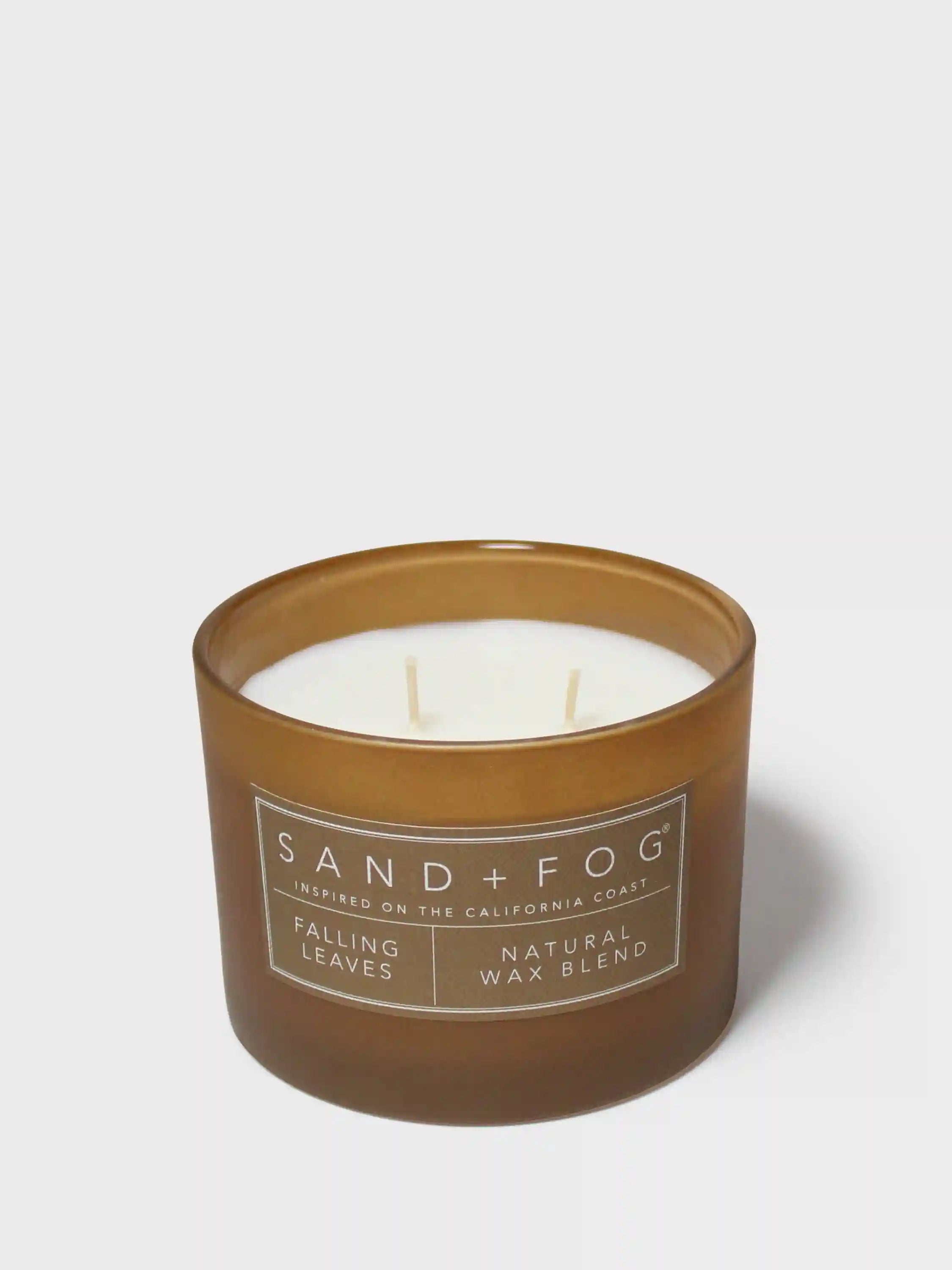 Falling Leaves 12 oz scented candle