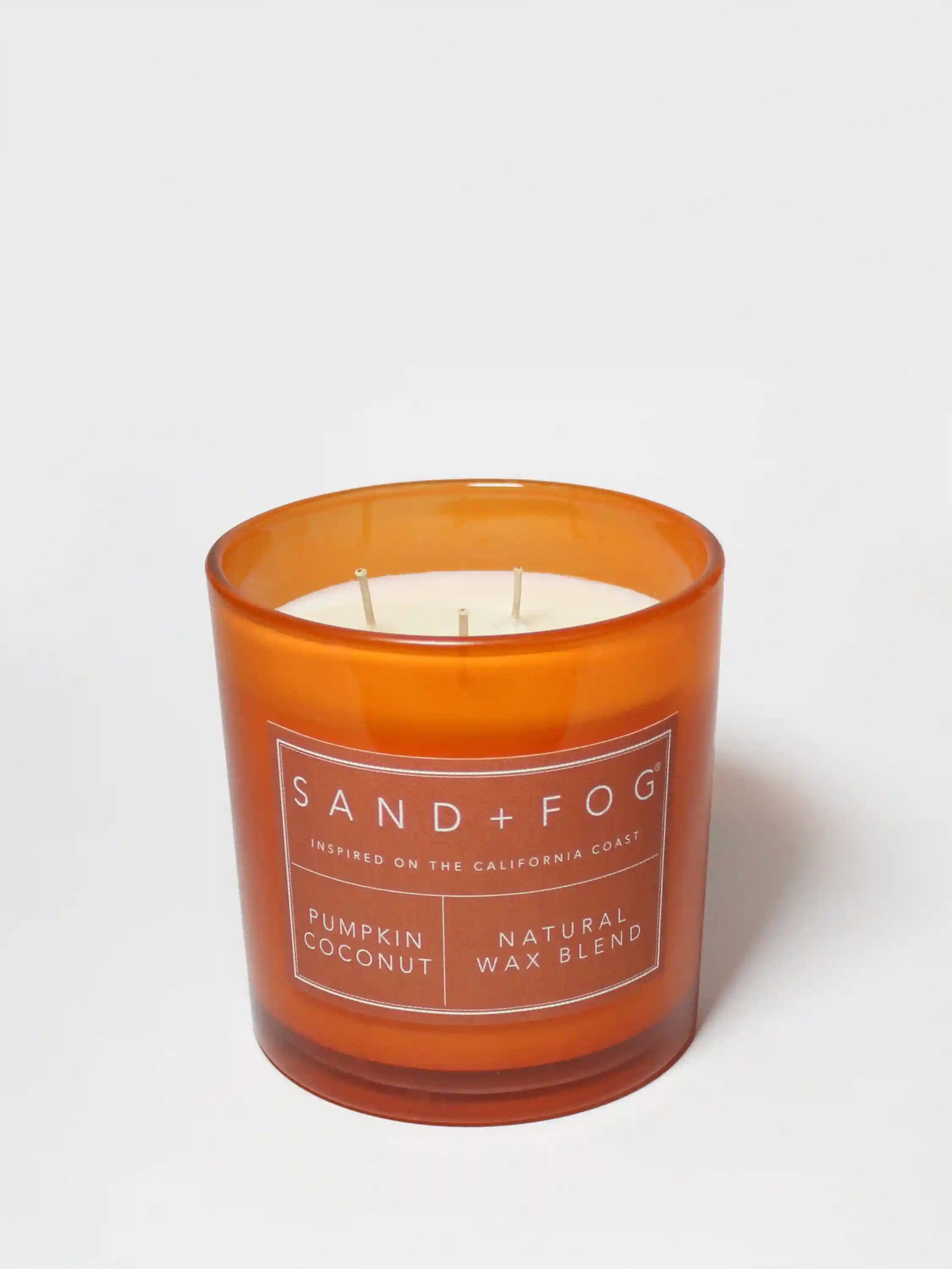 Pumpkin Coconut 21 oz scented candle