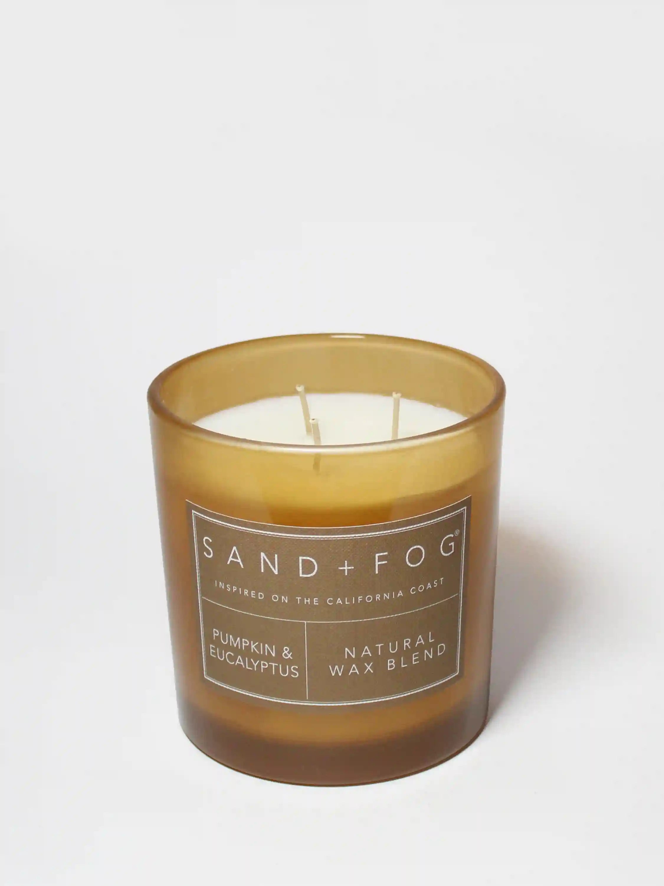 Pumpkin & Eucalyptus 21 oz scented candle