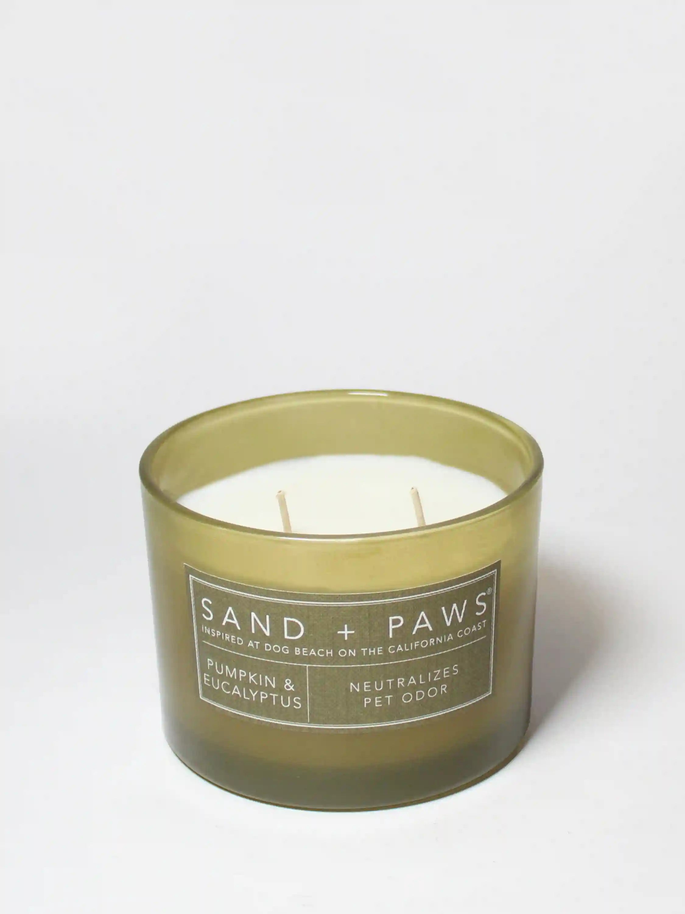Sand + Paws Pumpkin & Eucalyptus 12 oz scented candle
