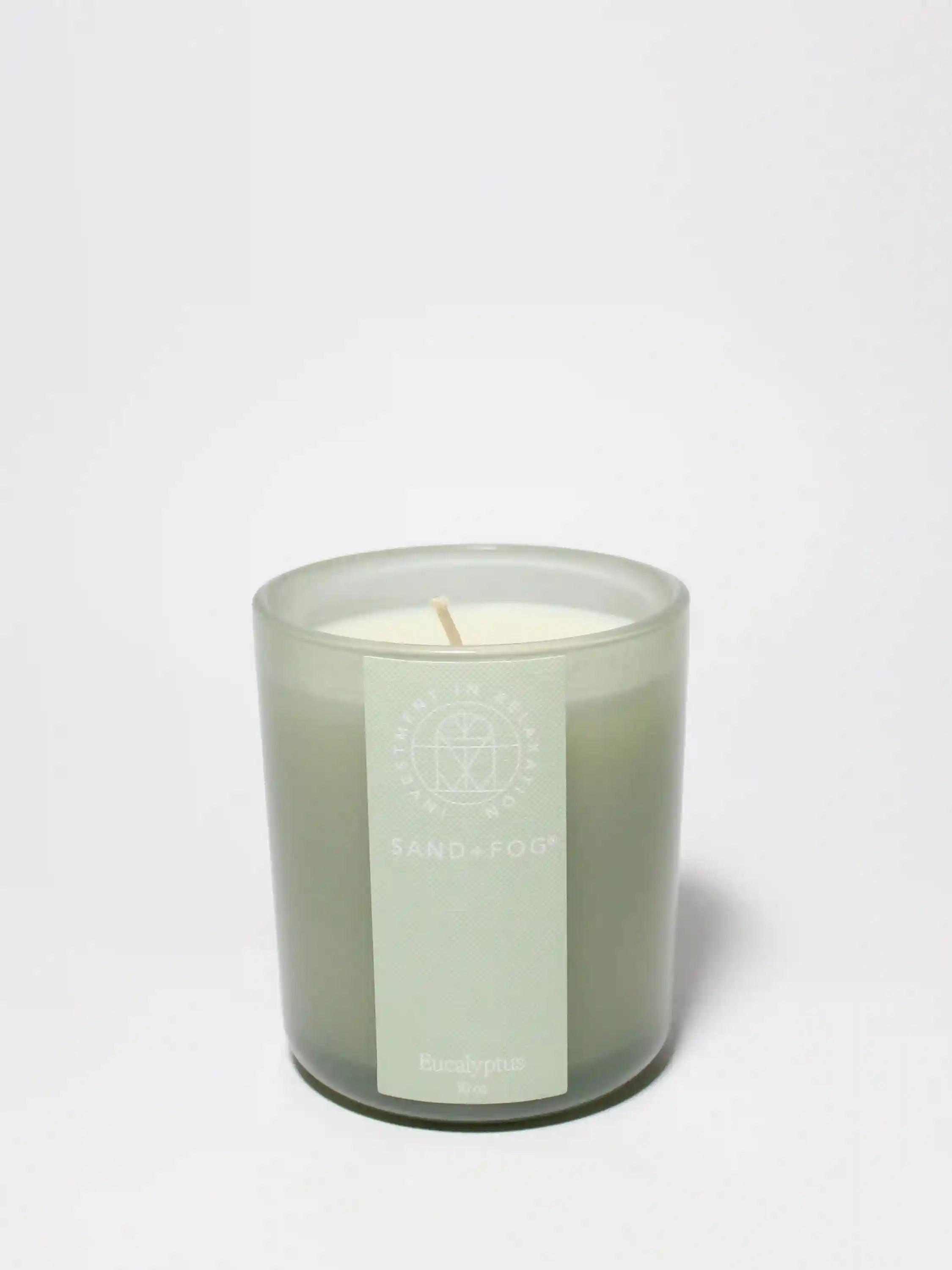 Eucalyptus 10 oz scented candle