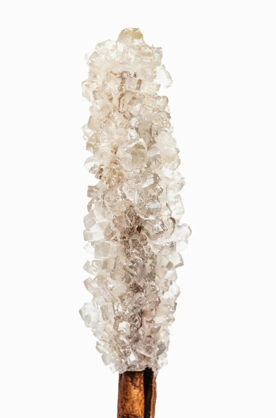 Vanilla Sugar 8 oz scented candle