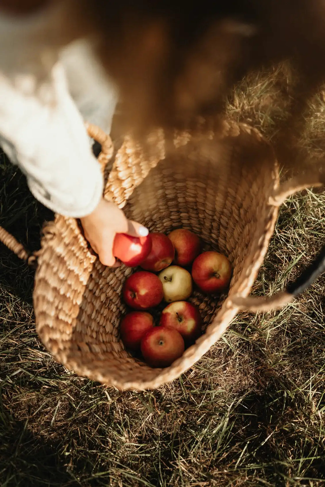 Apple Picking 12 oz scented candle