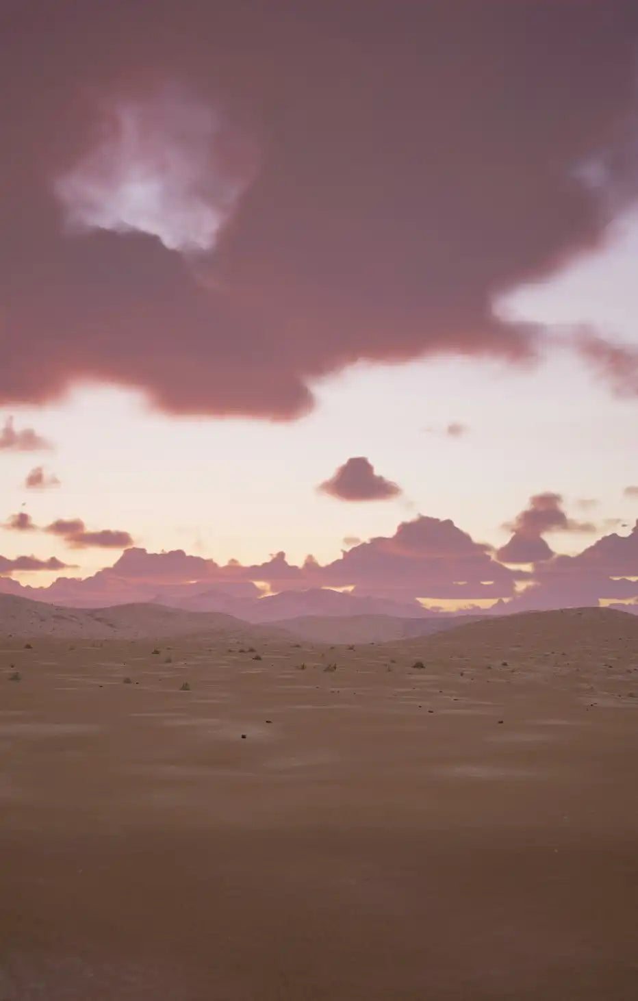 Sand + Paws Desert Rain 12 oz scented candle