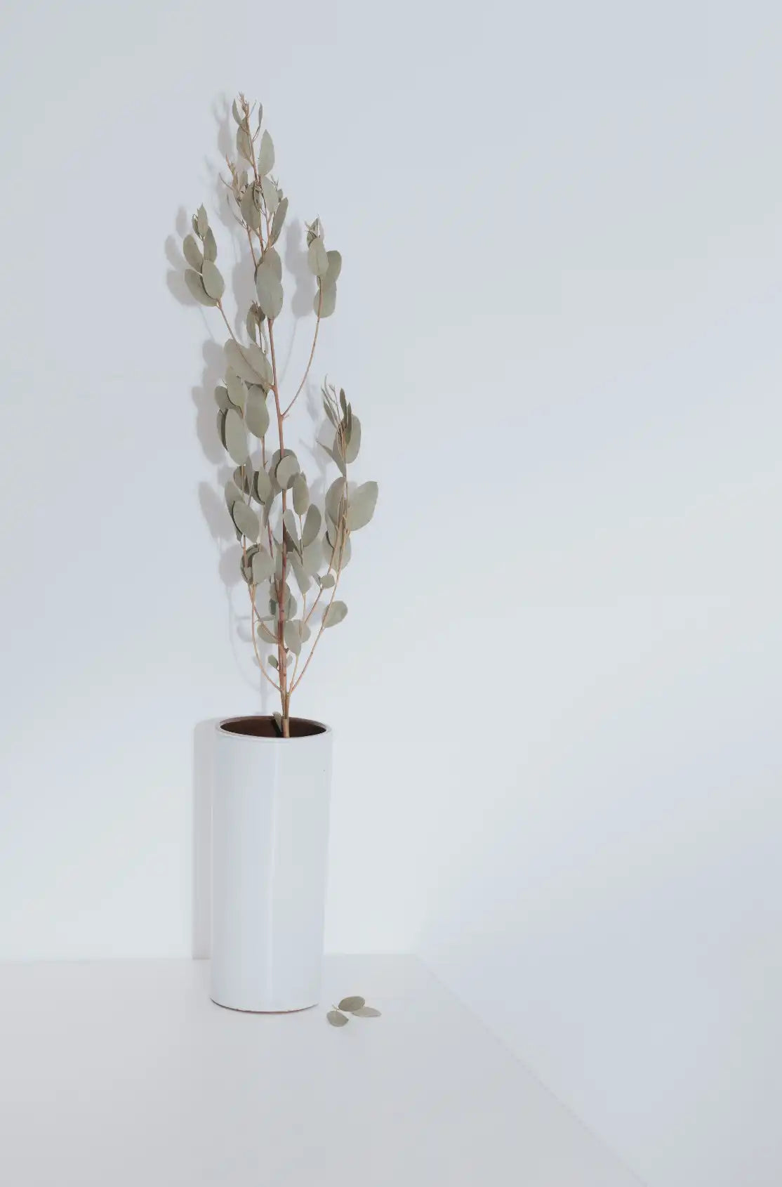 Eucalyptus Spearmint 100 ml Reed Diffuser