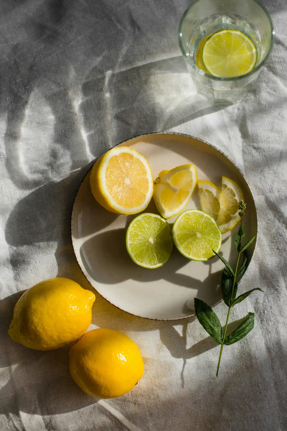 Limoncello 10 oz scented candle