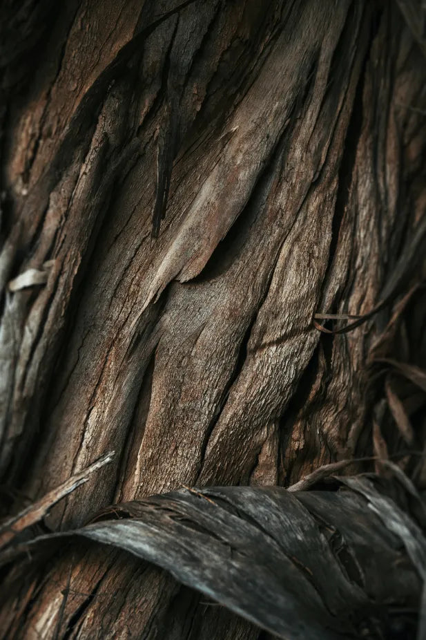 Vanilla Sandalwood 34 oz scented candle
