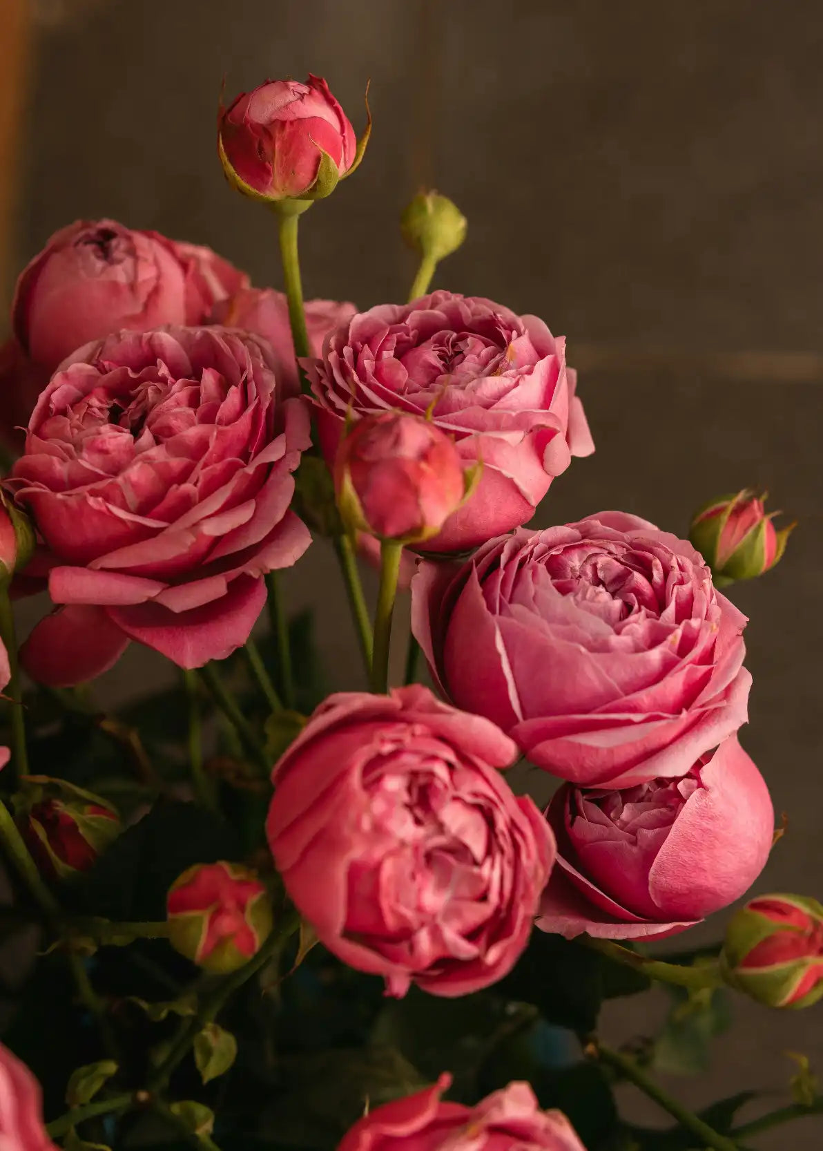 Rose & Peony 50 ml Perfume Oil Dropper