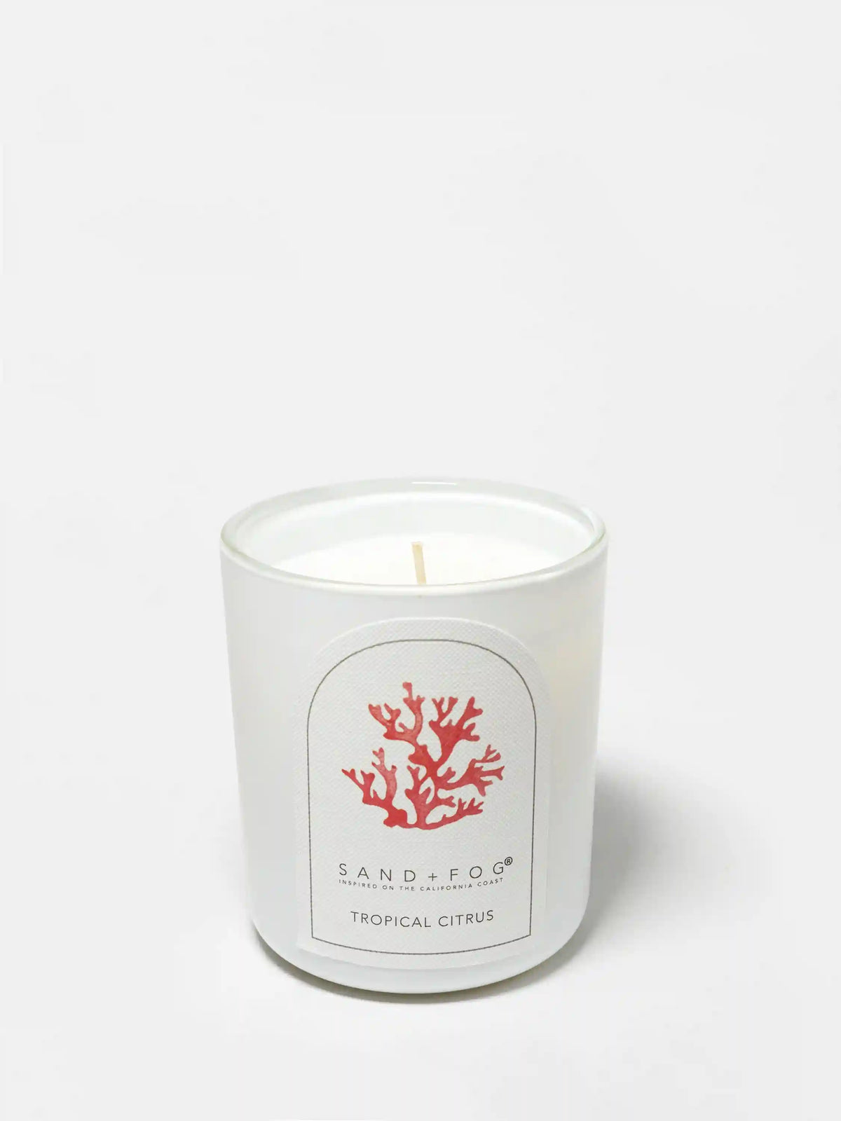 Tropical Citrus 10 oz scented candle
