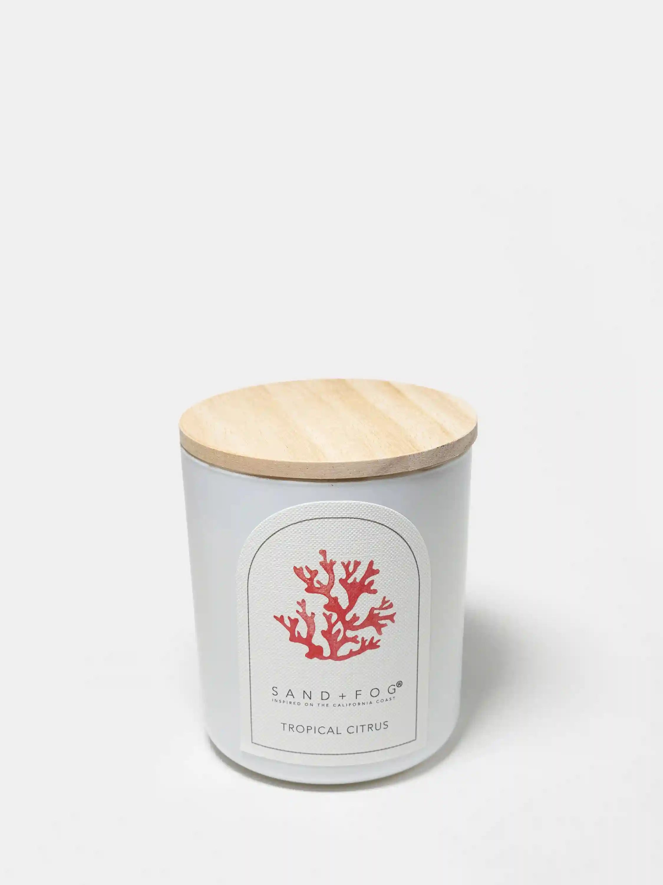 Tropical Citrus 10 oz scented candle