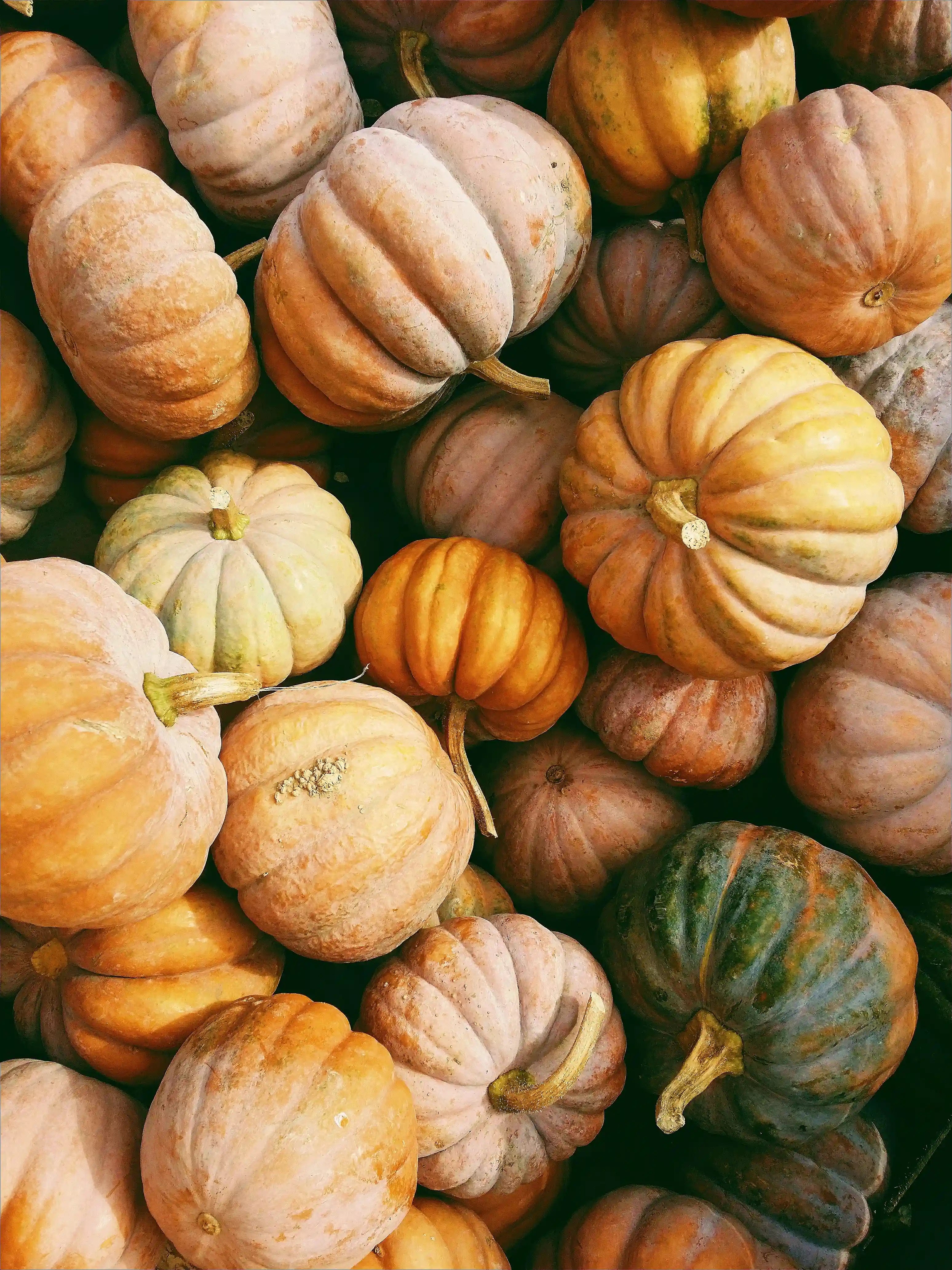 Pumpkin Patch 12 oz scented candle