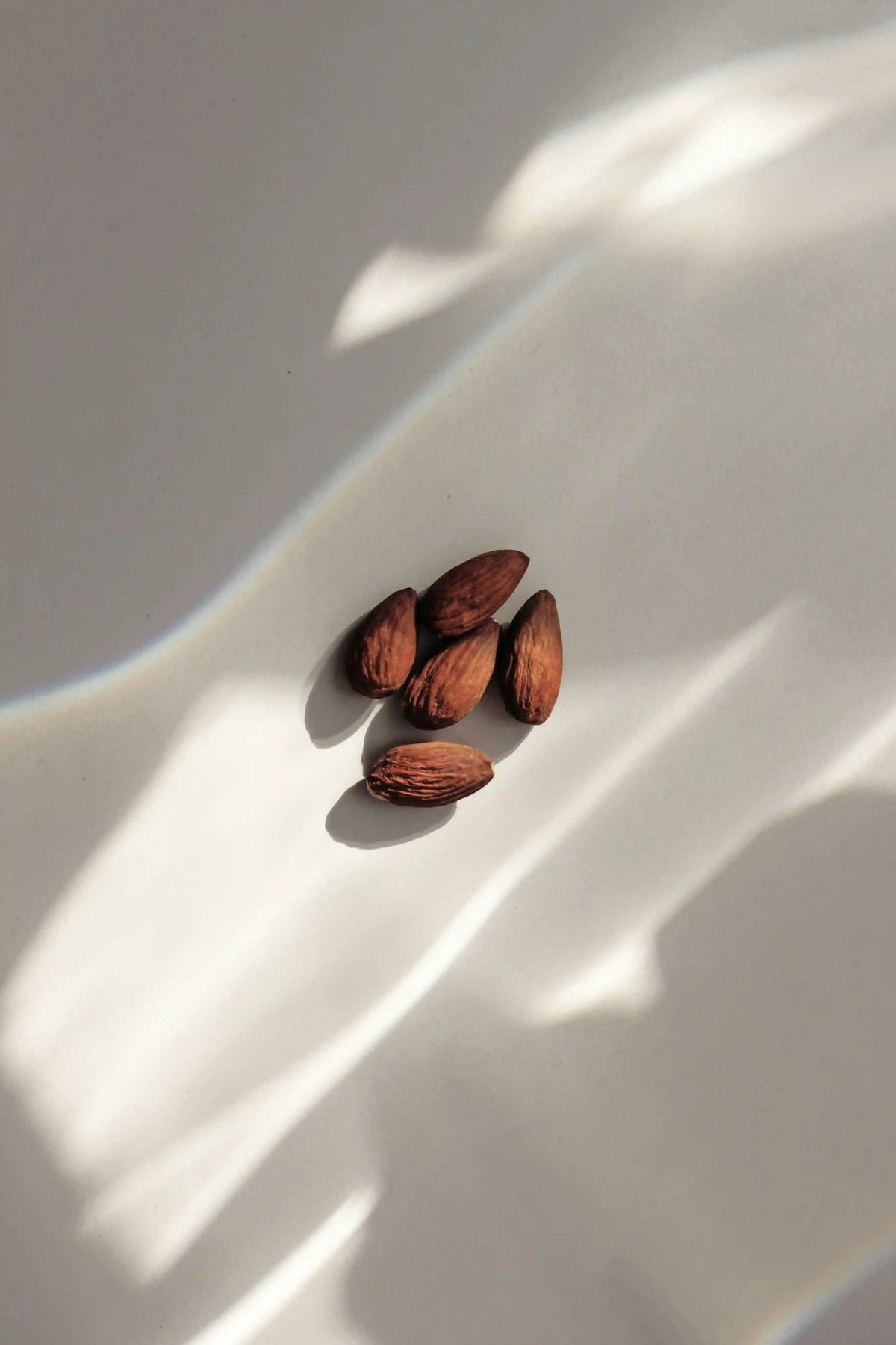 Vanilla Almond 50ml Perfume Oil Dropper